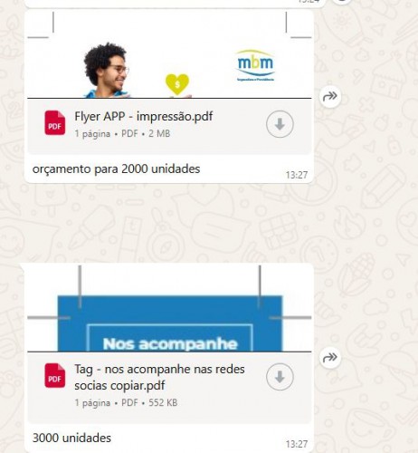 2500 Folhetos +4000 Tag Personalizada - MBM SEGURADORA SA